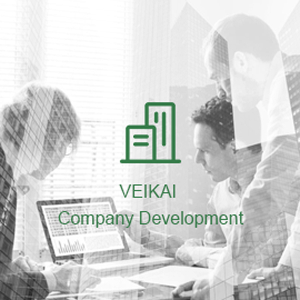 VEIKAI Company Development